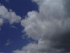 PICT1849.JPG